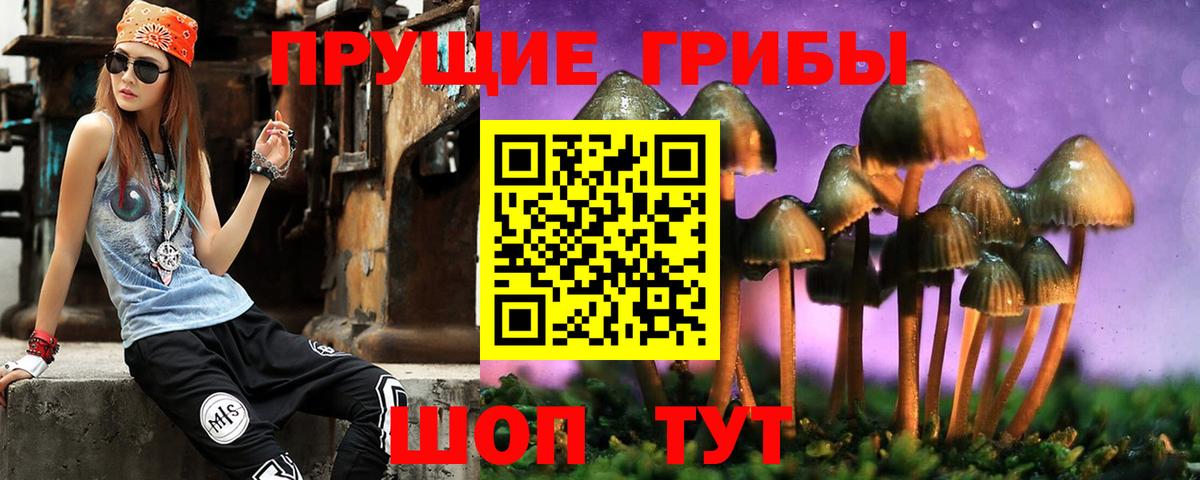 Псилоцибиновые грибы GOLDEN TEACHER  Вход с VPN  Краснотурьинск  Псилоцибиновые грибы Psilocybe 
